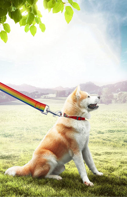 15Ft 20Ft 30Ft 40Ft 50Ft Long Dog/Puppy Lead Obedience Recall Training Dog Leashes for Small Medium Dogs Camping, Training, Play, or Backyard